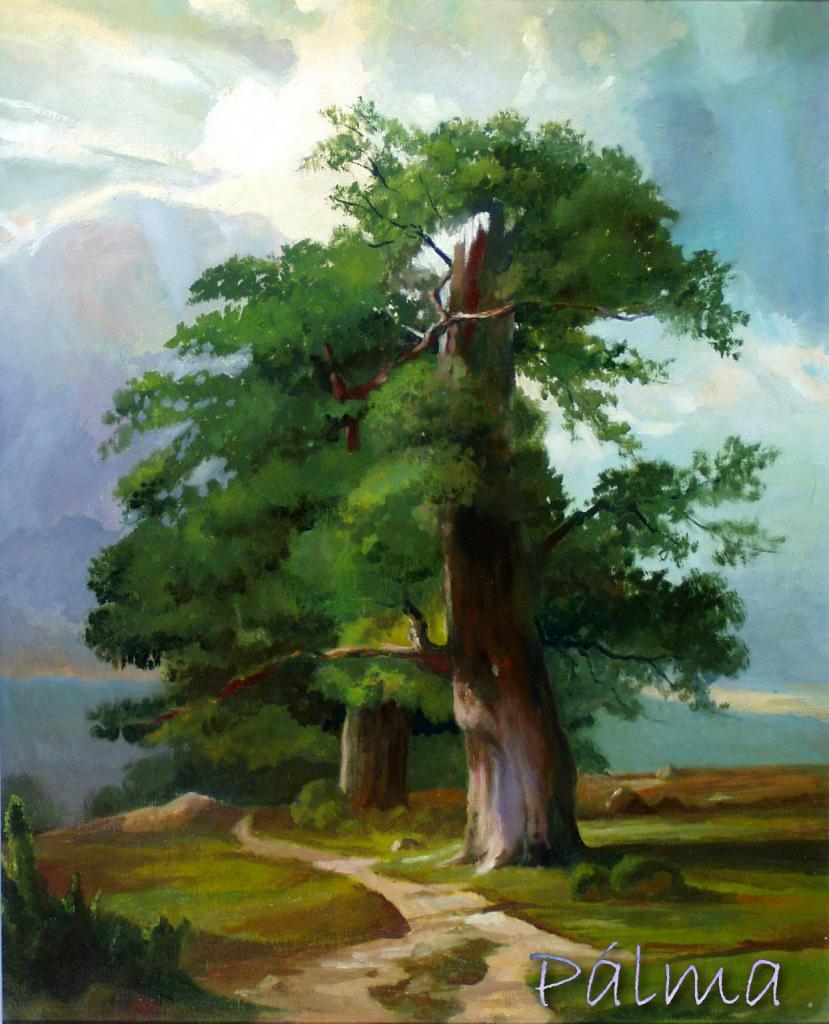 Olaj, farost, 60cm x 50cm